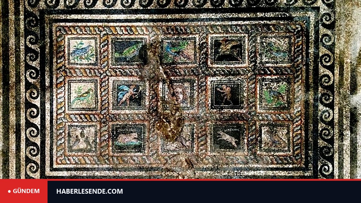 Adramytteion Antik Kenti'nde Roma dönemine ait villa çıkarıldı