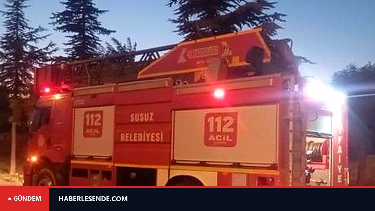 Afyonkarahisar’da orman yangını
