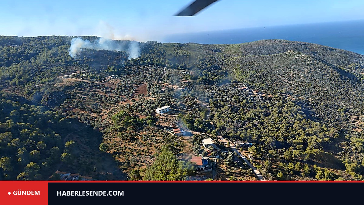 Antalya Kaş'ta orman yangını: Çok sayıda ekip sevk edildi