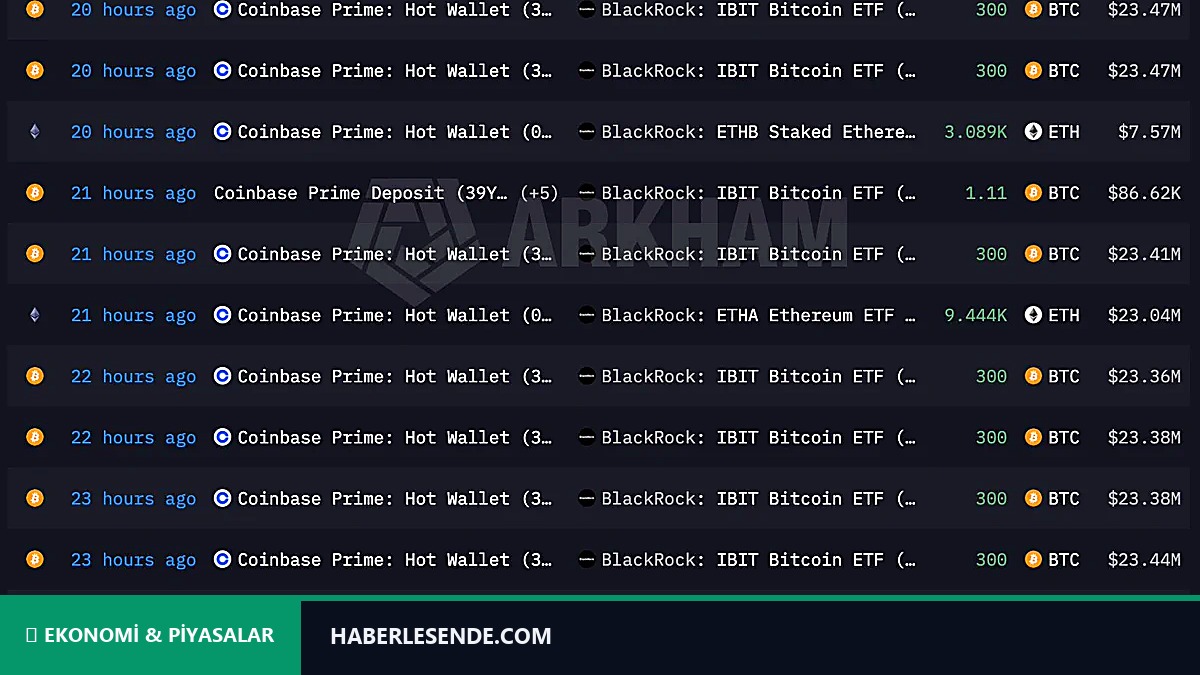 BlackRock Etiketli Cüzdanlarda 8 Günlük Hareket: 3,2 Milyar Dolar Taşındı