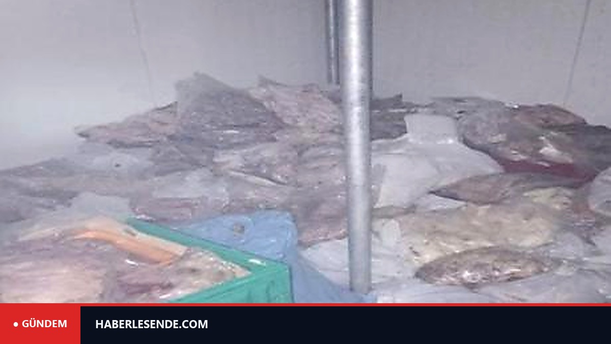 Bodrum’da kötü koku ekipleri harekete geçirdi! 400 kilo bozuk ete el konuldu
