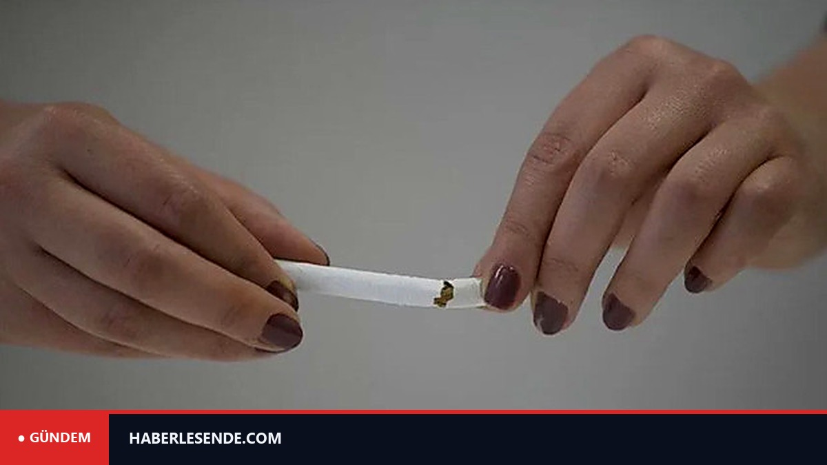 Dünyada her beş yetişkinden biri tütün kullanıyor