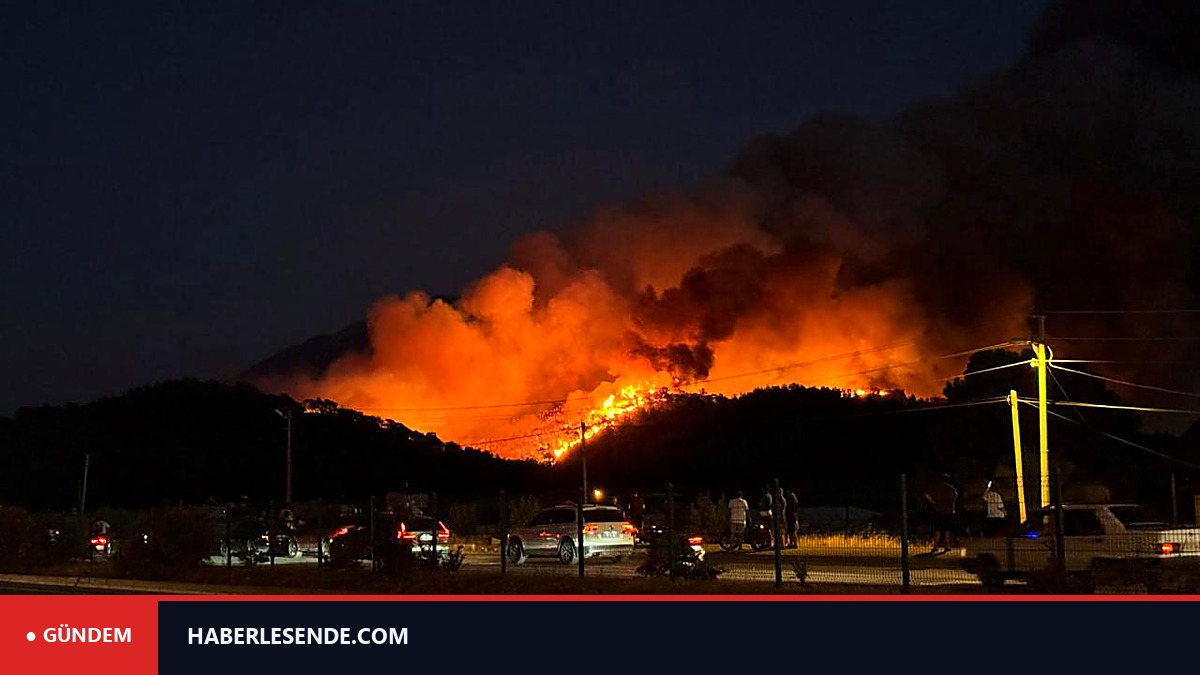 Fethiye'de ormanlık alanda çıkan yangına müdahale ediliyor