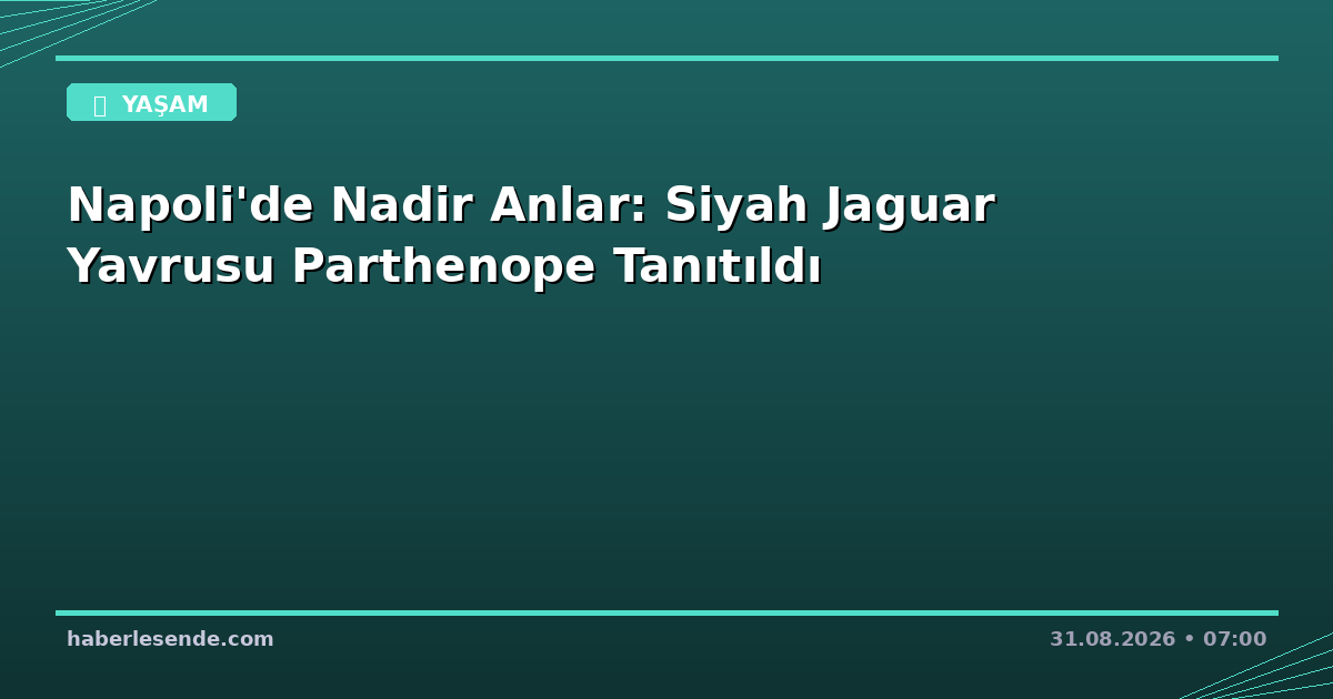 Napoli'de Nadir Anlar: Siyah Jaguar Yavrusu Parthenope Tanıtıldı