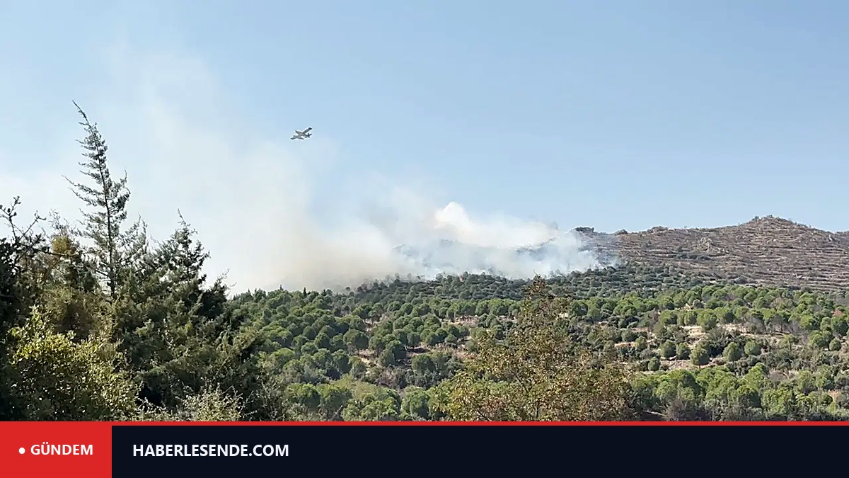 İzmir'de orman yangını: Ekiplerin müdahalesi sürüyor