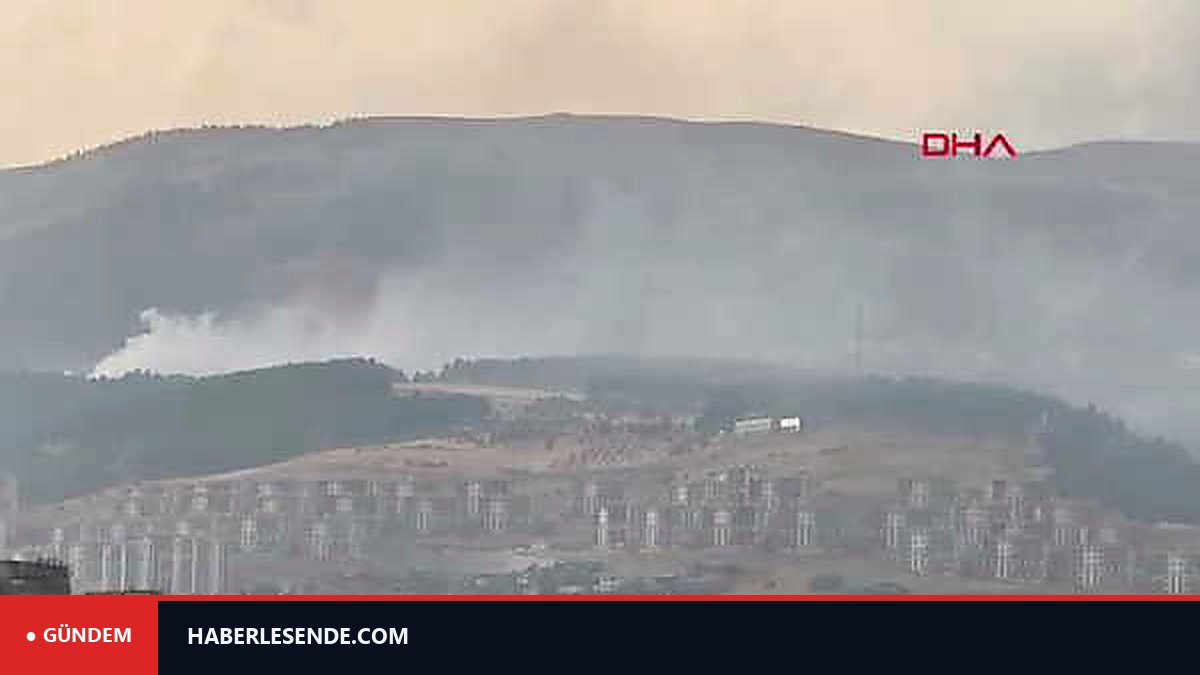 Kahramanmaraş'ta orman yangını: Ekipler müdahale ediyor
