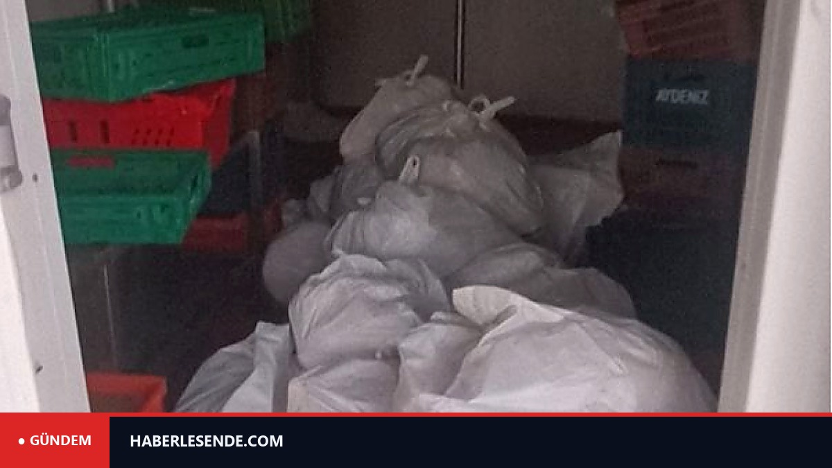 Kasdeposundan 400 kilogram bozuk et çıktı