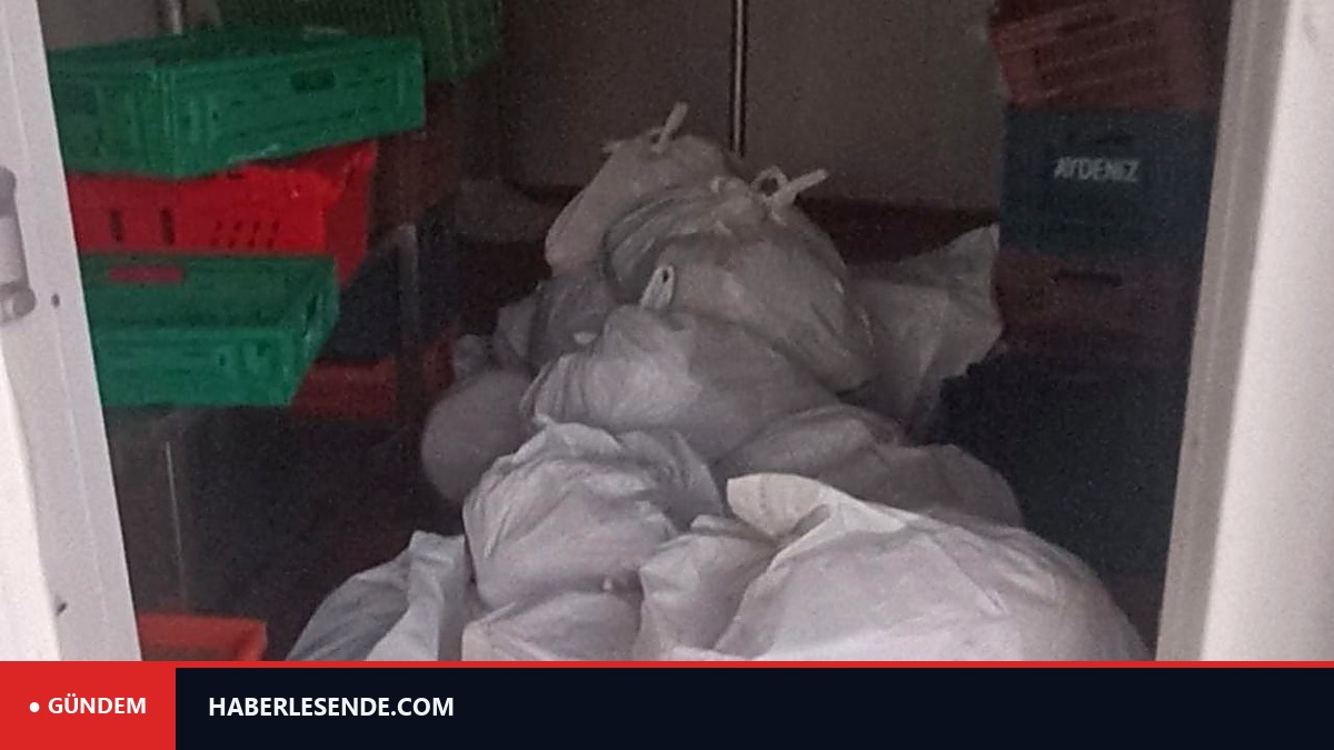 Kasdeposundan yaklaşık 400 kilogram bozuk et çıktı