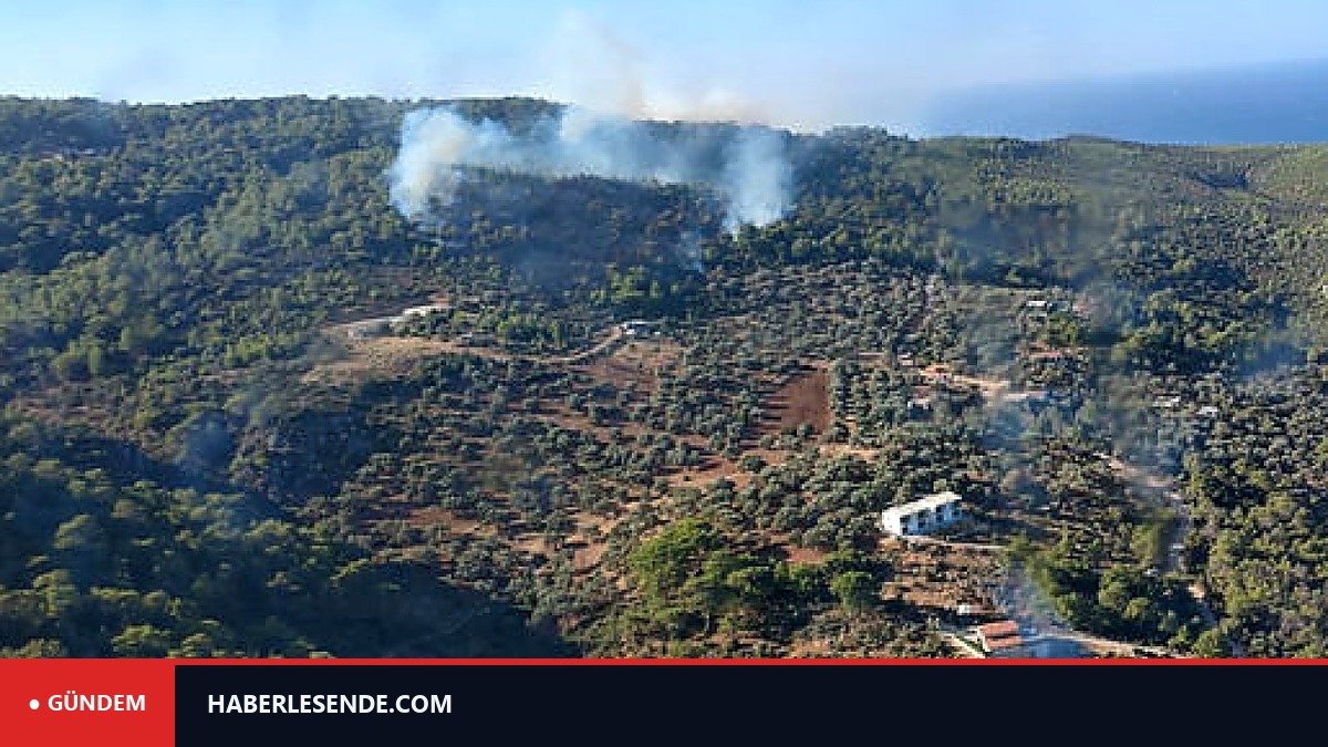 Kaş'ta orman yangını