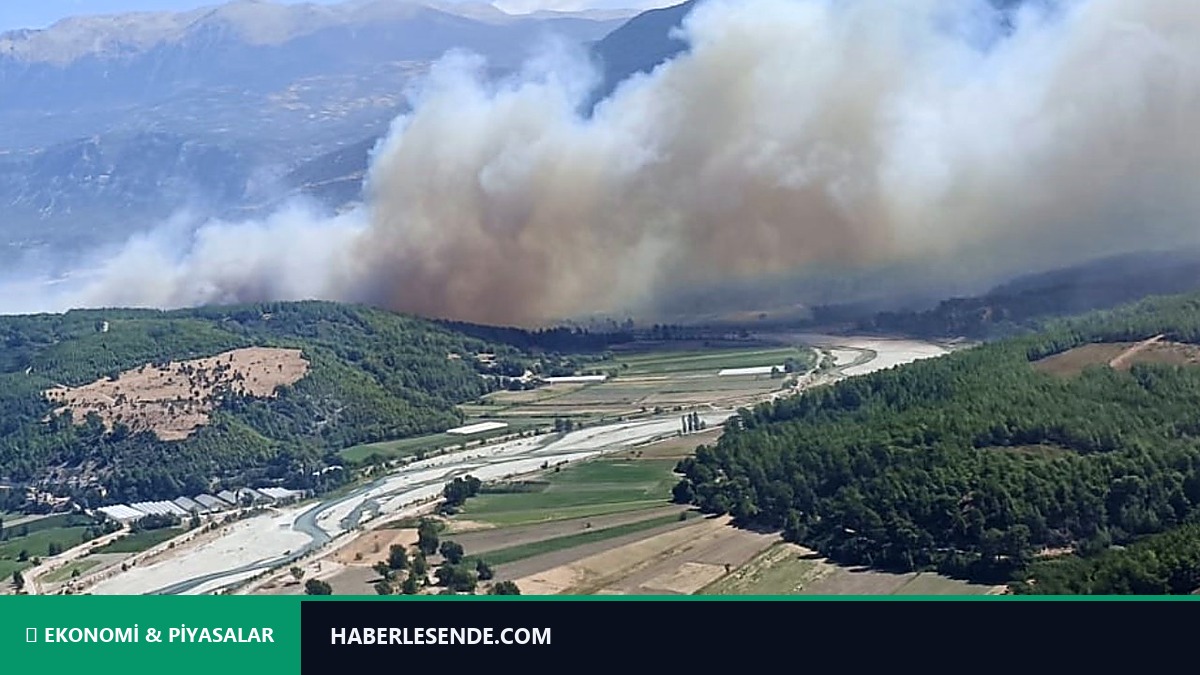 Muğla'da başlayıp Antalya'ya sıçrayan orman yangınına müdahale sürüyor