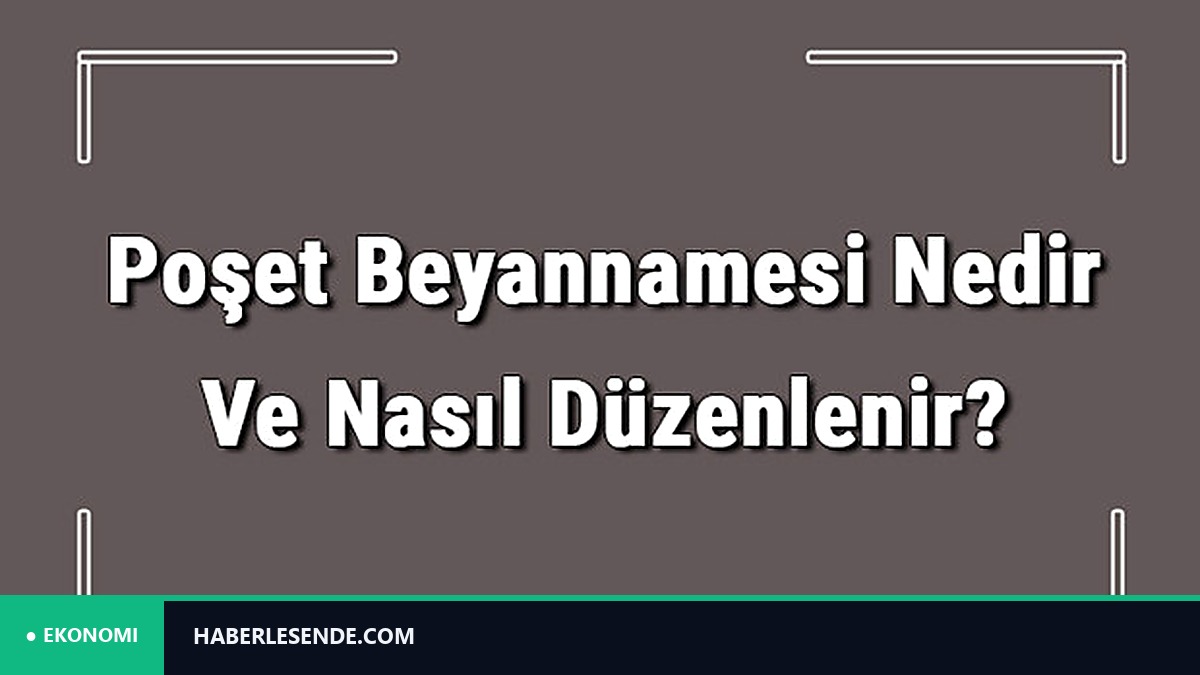 Poşet Beyannamesi Nedir Ve Nasıl Düzenlenir? Poşet Beyannamesi Nasıl Verilir Detaylı Bilgi