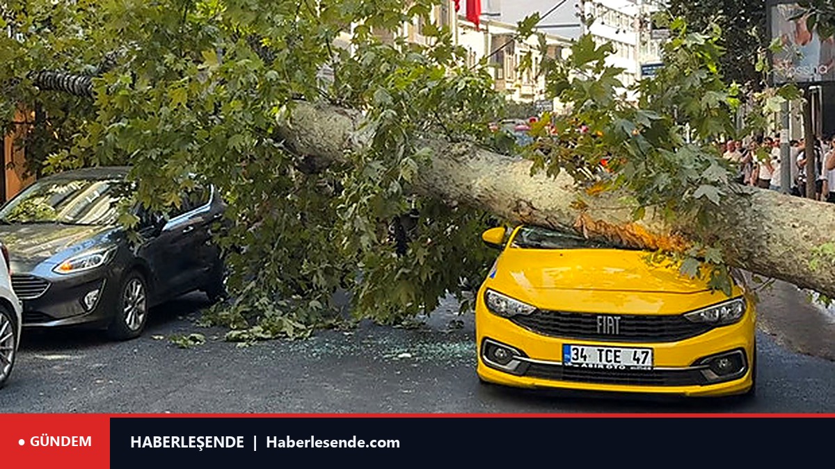Şişli'de otomobillerin üzerine ağaç devrildi