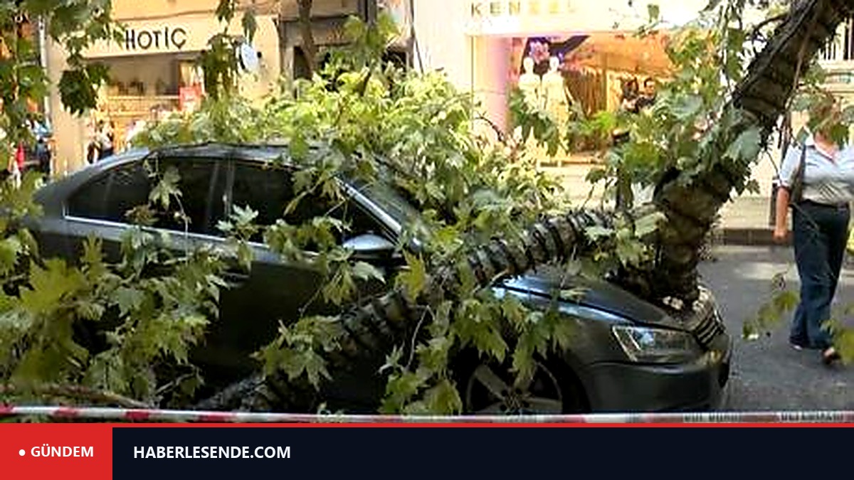 Nişantaşı’nda çınar ağacı taksinin üzerine devrildi! Teşvikiye Caddesi trafiğe kandı