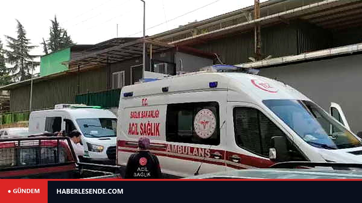 Rize'de denizde kaybolmuştu: Ağabeyinin ardından Arif Kerem'den de acı haber geldi!