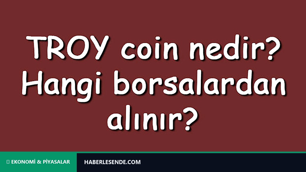 TROY coin nedir? Hangi borsalardan alınır? TROY ne zaman çıktı? Ne iş yar?