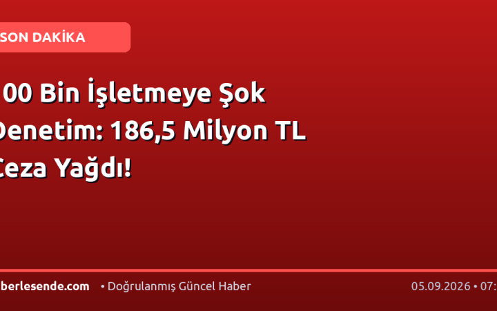 100 Bin İşletmeye Şok Denetim: 186,5 Milyon TL Ceza Yağdı!