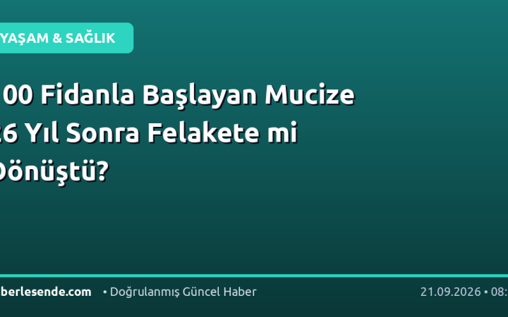 100 Fidanla Başlayan Mucize 26 Yıl Sonra Felakete mi Dönüştü?