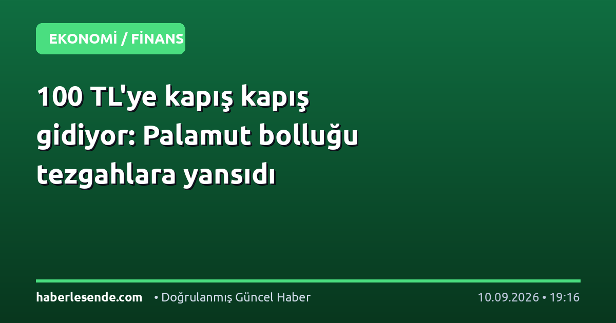 100 TL'ye kapış kapış gidiyor: Palamut bolluğu tezgahlara yansıdı