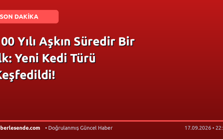 100 Yılı Aşkın Süredir Bir İlk: Yeni Kedi Türü Keşfedildi!