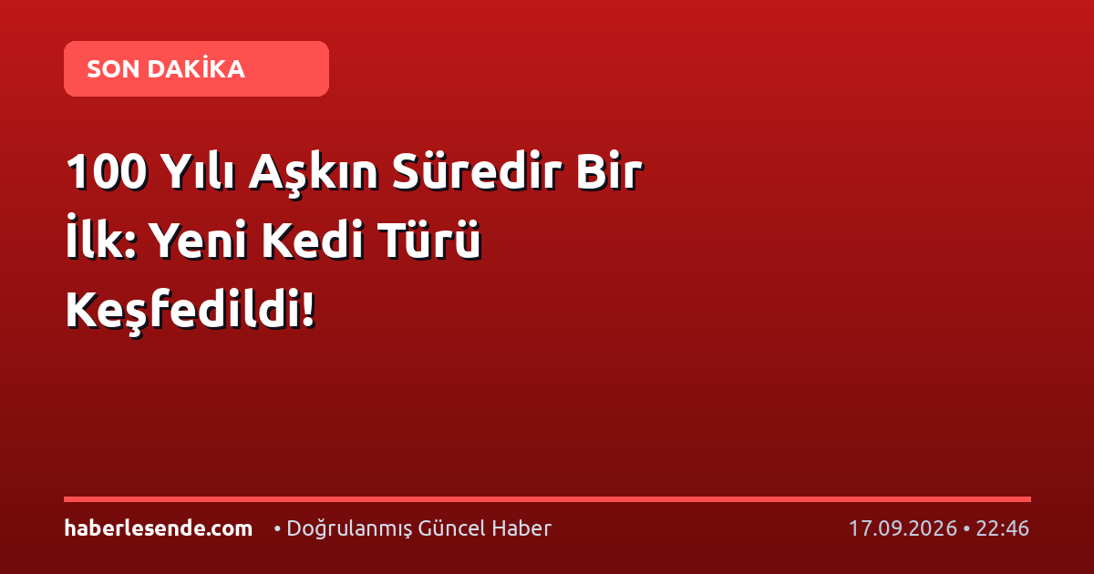 100 Yılı Aşkın Süredir Bir İlk: Yeni Kedi Türü Keşfedildi!
