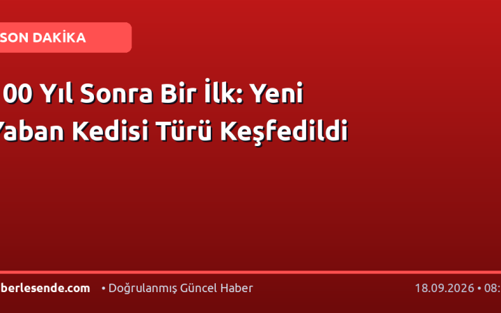 100 Yıl Sonra Bir İlk: Yeni Yaban Kedisi Türü Keşfedildi