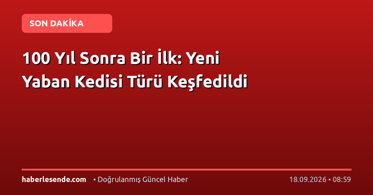 100 Yıl Sonra Bir İlk: Yeni Yaban Kedisi Türü Keşfedildi