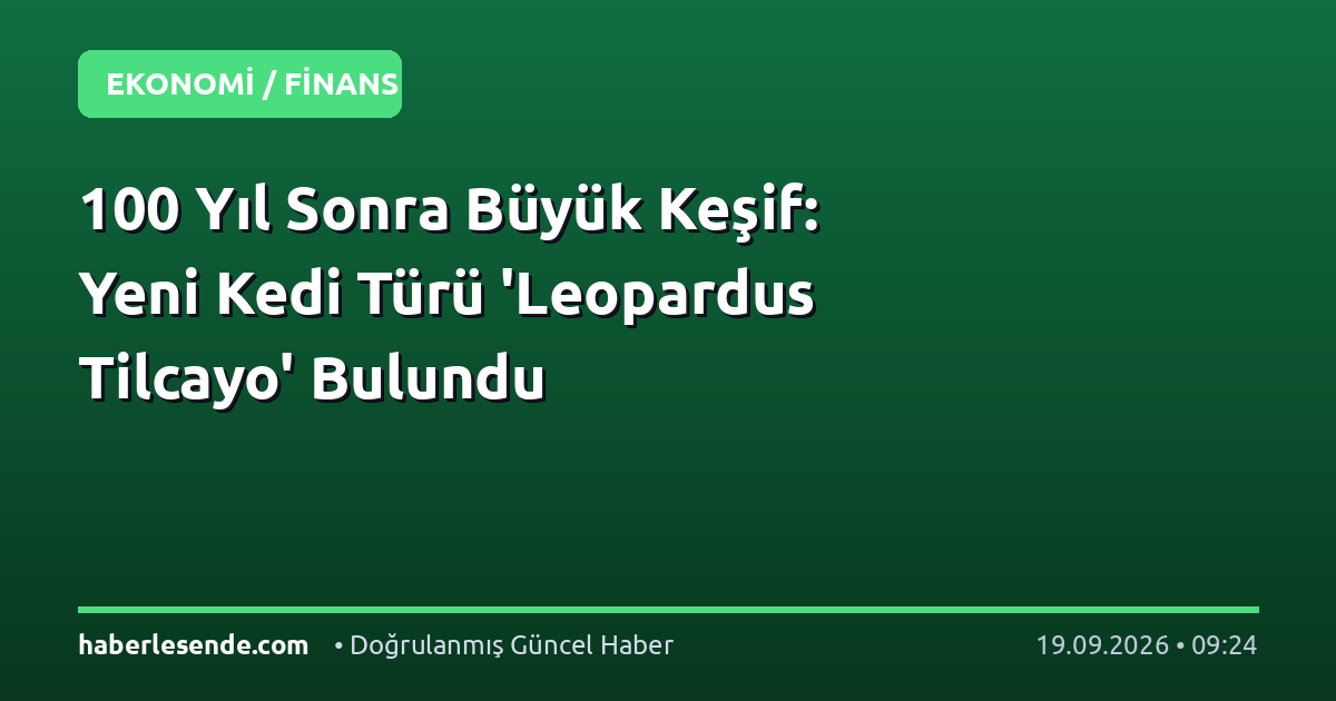 100 Yıl Sonra Büyük Keşif: Yeni Kedi Türü 'Leopardus Tilcayo' Bulundu