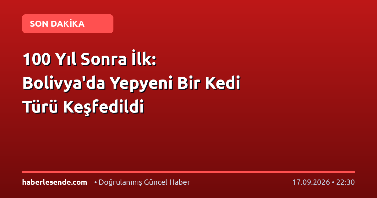 100 Yıl Sonra İlk: Bolivya'da Yepyeni Bir Kedi Türü Keşfedildi