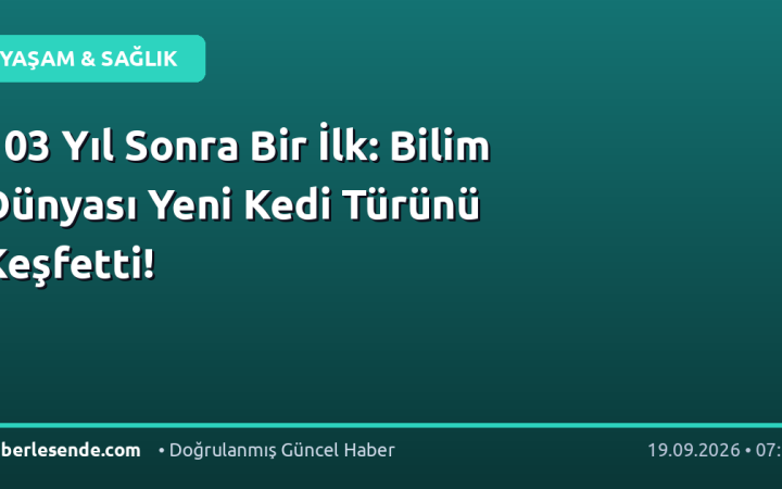 103 Yıl Sonra Bir İlk: Bilim Dünyası Yeni Kedi Türünü Keşfetti!