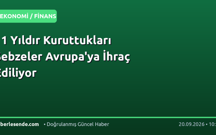 11 Yıldır Kuruttukları Sebzeler Avrupa'ya İhraç Ediliyor