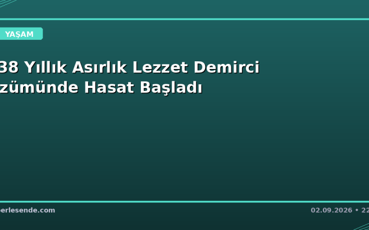 138 Yıllık Asırlık Lezzet Demirci Üzümünde Hasat Başladı