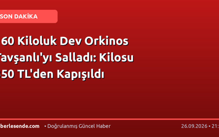 160 Kiloluk Dev Orkinos Tavşanlı'yı Salladı: Kilosu 350 TL'den Kapışıldı