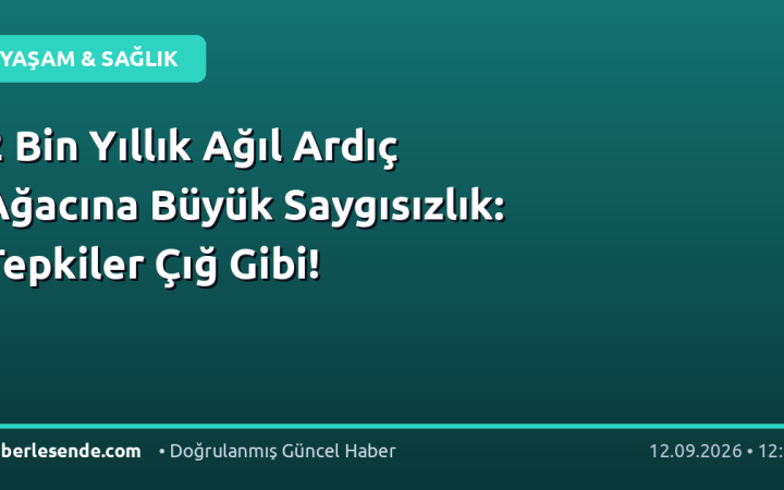 2 Bin Yıllık Ağıl Ardıç Ağacına Büyük Saygısızlık: Tepkiler Çığ Gibi!