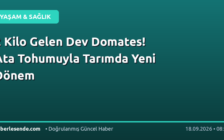 2 Kilo Gelen Dev Domates! Ata Tohumuyla Tarımda Yeni Dönem
