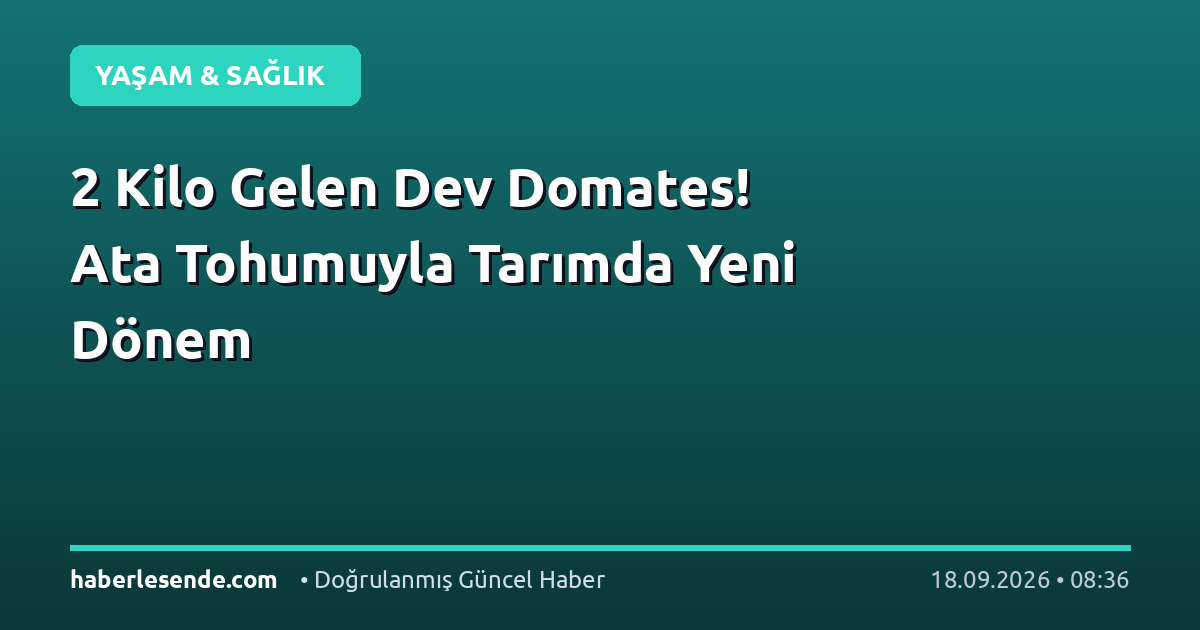 2 Kilo Gelen Dev Domates! Ata Tohumuyla Tarımda Yeni Dönem