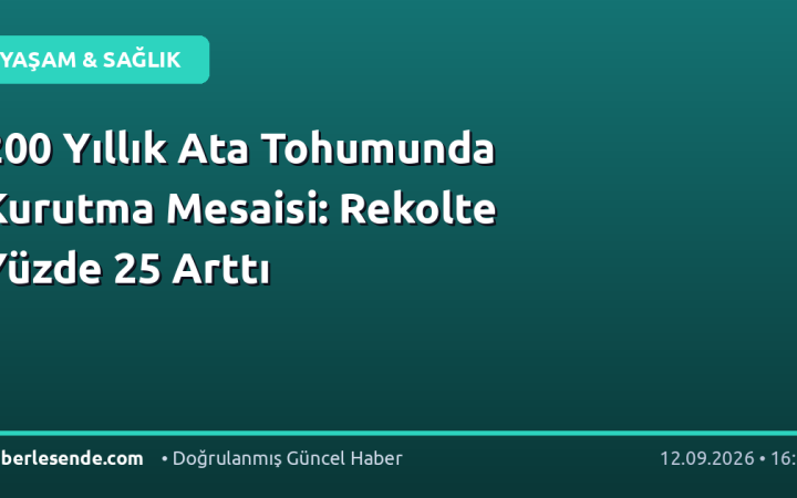 200 Yıllık Ata Tohumunda Kurutma Mesaisi: Rekolte Yüzde 25 Arttı