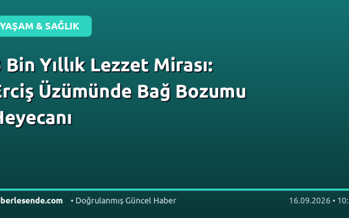 3 Bin Yıllık Lezzet Mirası: Erciş Üzümünde Bağ Bozumu Heyecanı