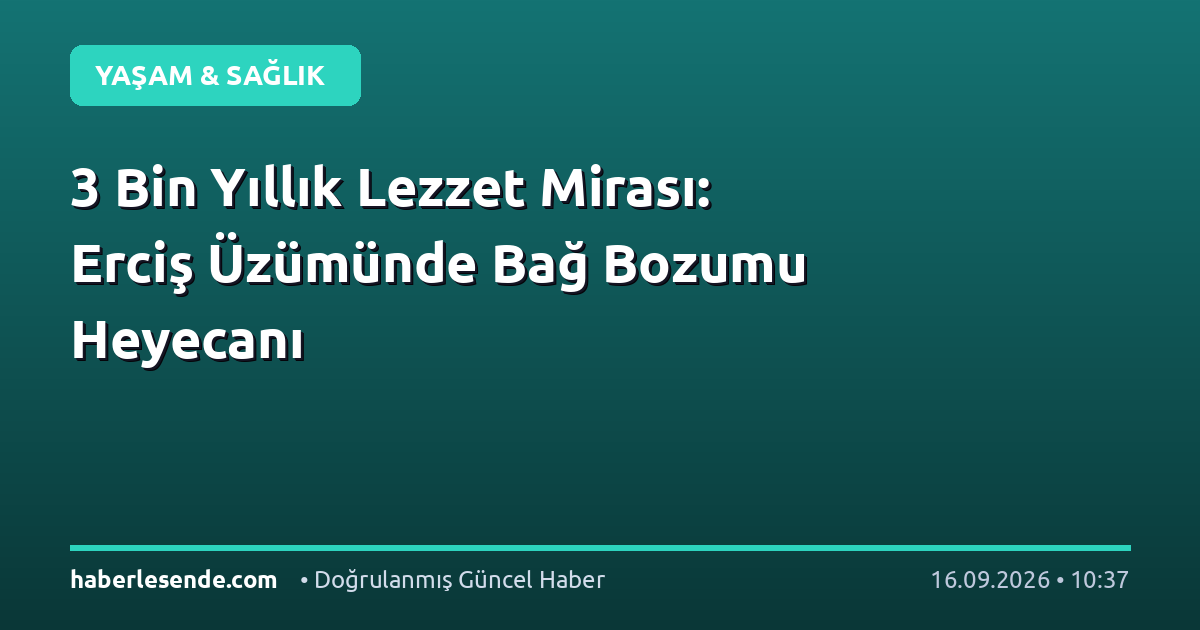3 Bin Yıllık Lezzet Mirası: Erciş Üzümünde Bağ Bozumu Heyecanı
