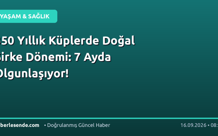 350 Yıllık Küplerde Doğal Sirke Dönemi: 7 Ayda Olgunlaşıyor!
