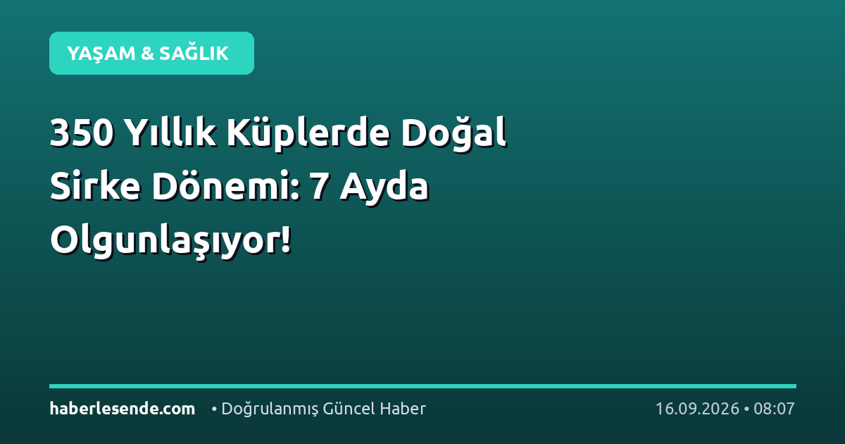 350 Yıllık Küplerde Doğal Sirke Dönemi: 7 Ayda Olgunlaşıyor!