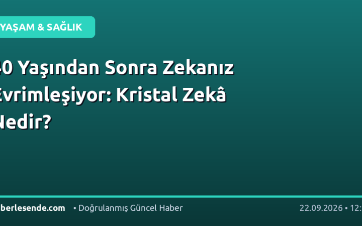 40 Yaşından Sonra Zekanız Evrimleşiyor: Kristal Zekâ Nedir?