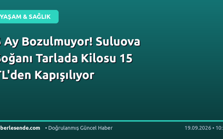6 Ay Bozulmuyor! Suluova Soğanı Tarlada Kilosu 15 TL'den Kapışılıyor