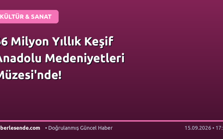 66 Milyon Yıllık Keşif Anadolu Medeniyetleri Müzesi'nde!