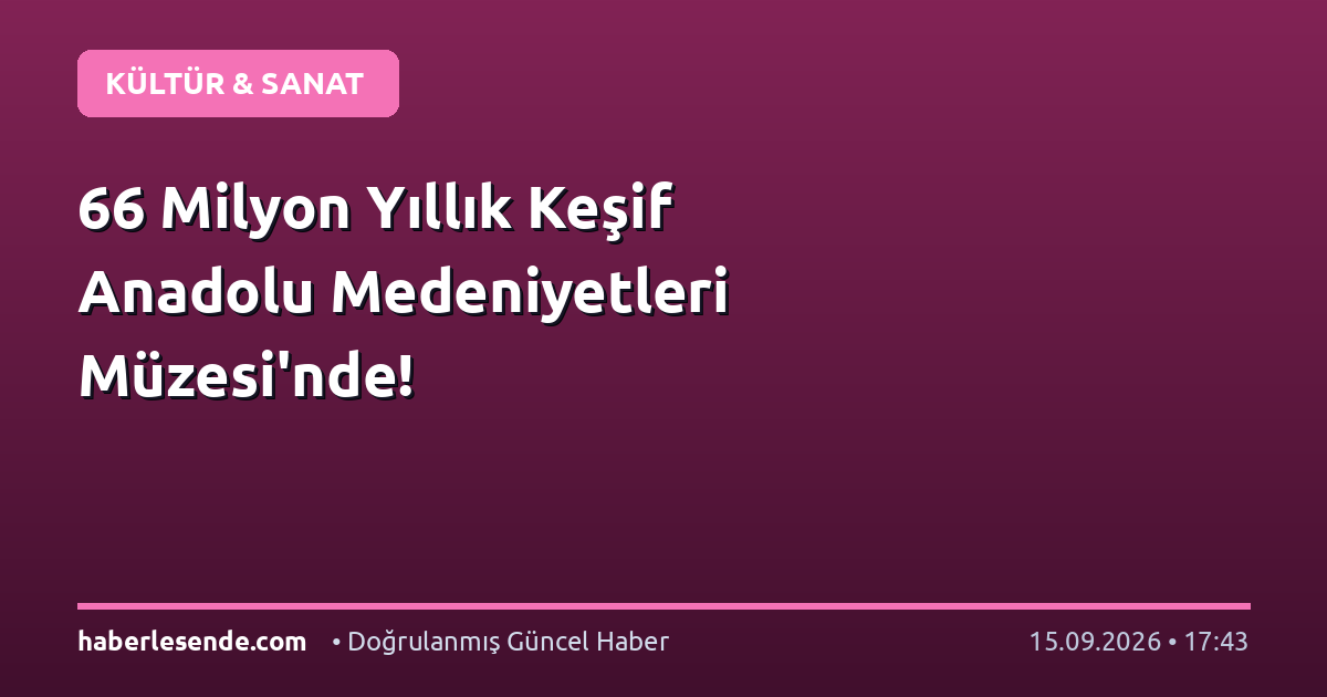 66 Milyon Yıllık Keşif Anadolu Medeniyetleri Müzesi'nde!