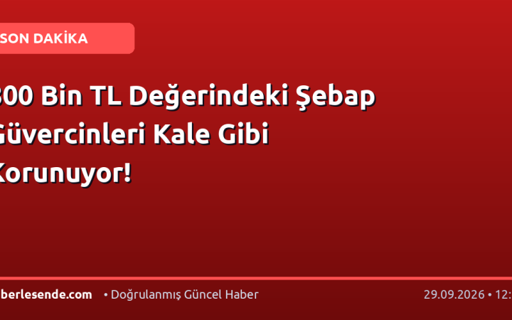 800 Bin TL Değerindeki Şebap Güvercinleri Kale Gibi Korunuyor!