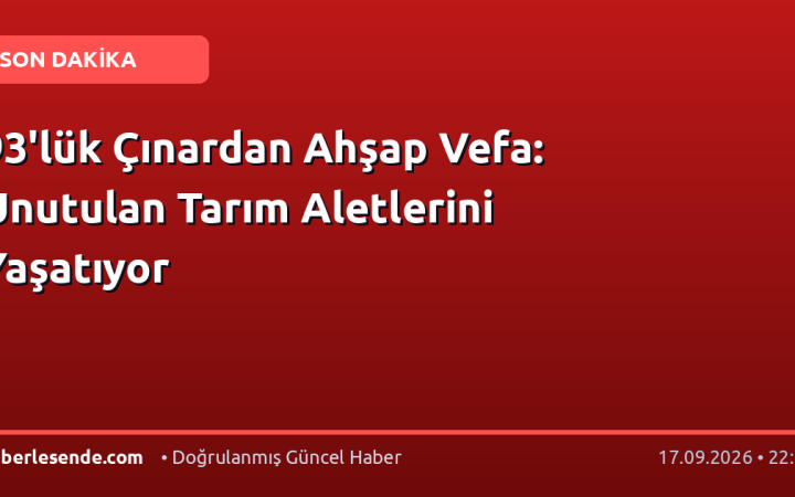 93'lük Çınardan Ahşap Vefa: Unutulan Tarım Aletlerini Yaşatıyor