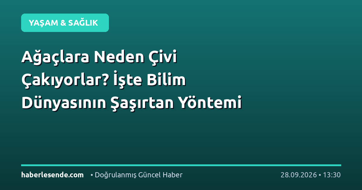 Ağaçlara Neden Çivi Çakıyorlar? İşte Bilim Dünyasının Şaşırtan Yöntemi