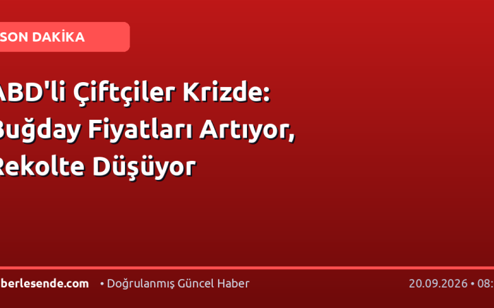 ABD'li Çiftçiler Krizde: Buğday Fiyatları Artıyor, Rekolte Düşüyor