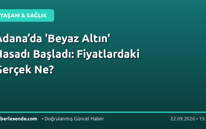 Adana’da 'Beyaz Altın' Hasadı Başladı: Fiyatlardaki Gerçek Ne?