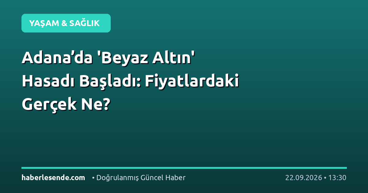 Adana’da 'Beyaz Altın' Hasadı Başladı: Fiyatlardaki Gerçek Ne?